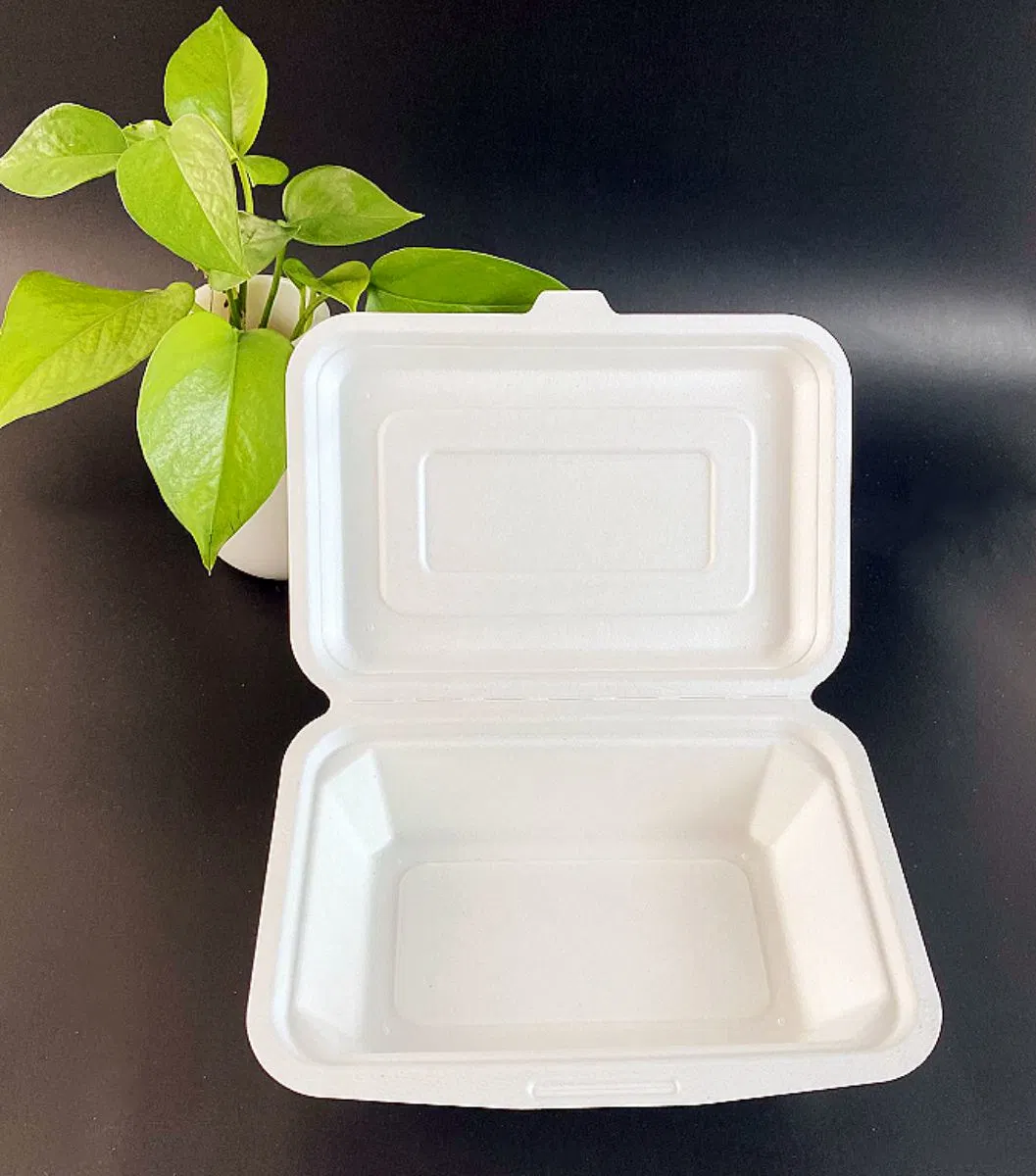 Disposable Biodegradable Compostable Sugarcane Bagasse Hamburger Box Pfas Free