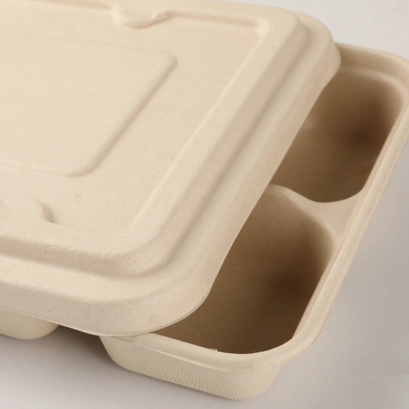 5 Compartments Lunch Tray Fast Food ODM Paper Disposable 100% Biodegradable Bagasse Pulp Pfas Free