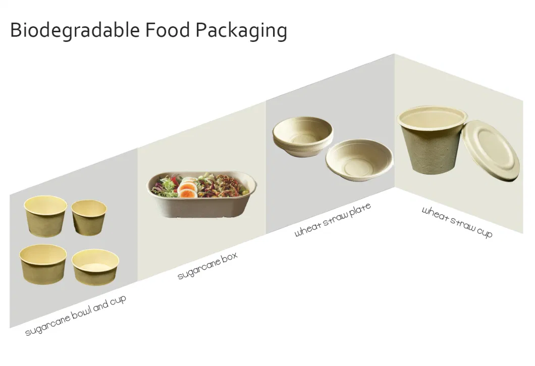 Eco Friendly Disposable Tableware 17 Oz 30 Oz 27oz Biodegradable Plates and Bowls Made in Sugarcane Bagasse