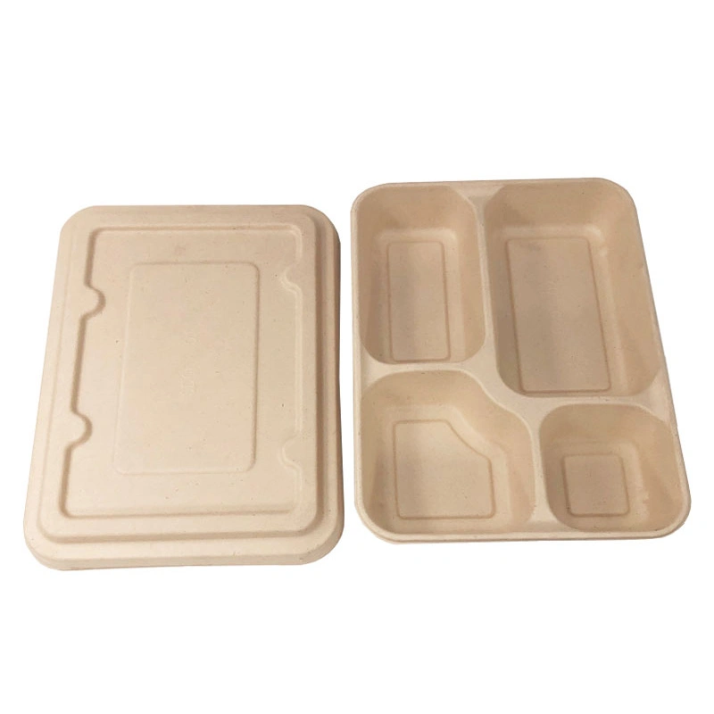 5 Compartments Lunch Tray Fast Food ODM Paper Disposable 100% Biodegradable Bagasse Pulp Pfas Free