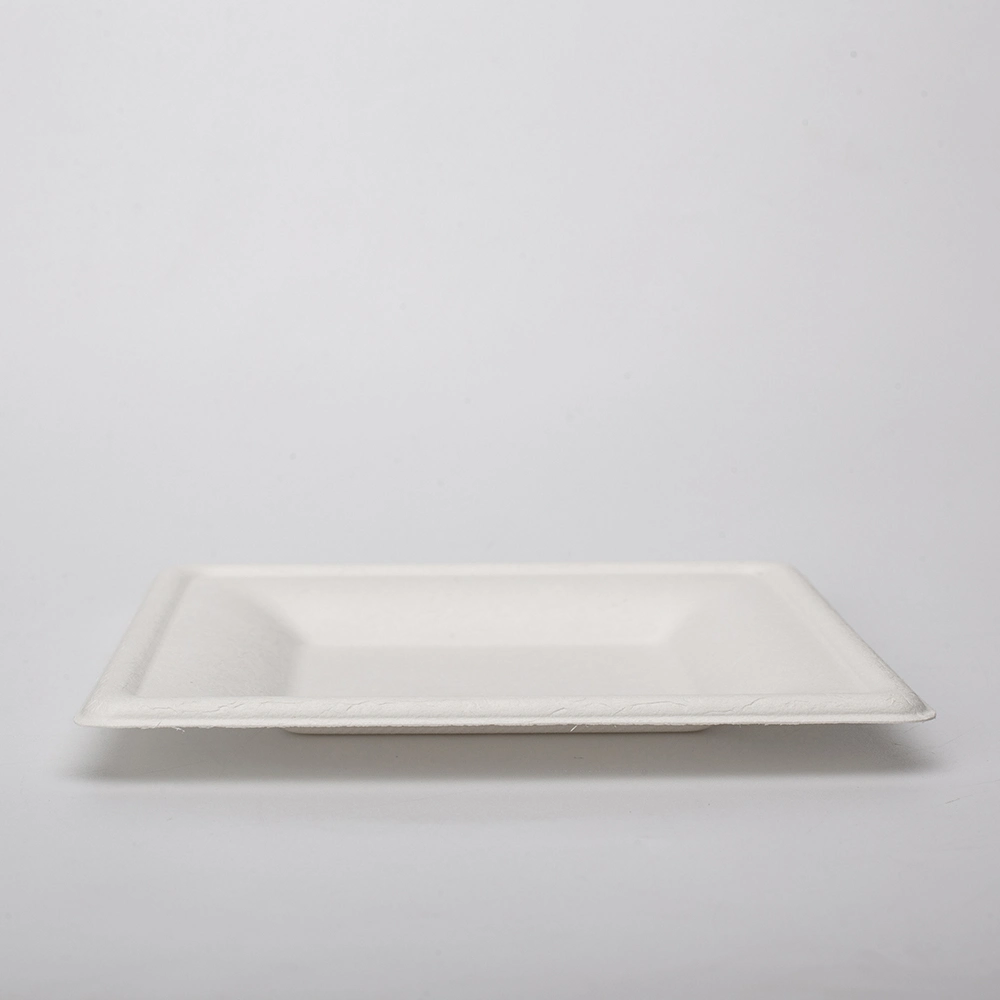 Square Round Oval Dinner Cake Sushi Food Sugarcane Bagasse Biodegradable Compostable Disposable Paper Plates